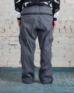 Hot ACRONYM P55-M Pant Blaugrau