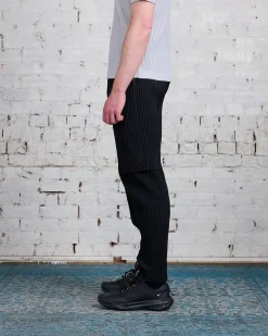 Online HOMME PLISSÉ ISSEY MIYAKE Pleats June Cargo Pant Black