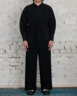 Fashion HOMME PLISSÉ ISSEY MIYAKE Pleats October LS Polo Black