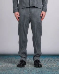 New HOMME PLISSÉ ISSEY MIYAKE Wool Like Light Pant Gray