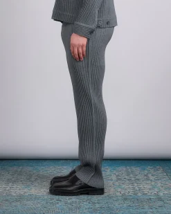 New HOMME PLISSÉ ISSEY MIYAKE Wool Like Light Pant Gray