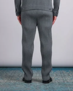 New HOMME PLISSÉ ISSEY MIYAKE Wool Like Light Pant Gray