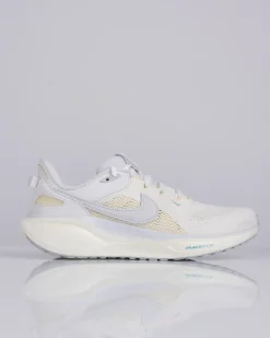 Online Nike Air Zoom Pegasus 41 SP Ivory Vast Grey-Coconut Milk HQ6025 100