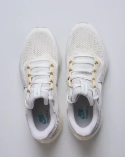 Online Nike Air Zoom Pegasus 41 SP Ivory Vast Grey-Coconut Milk HQ6025 100