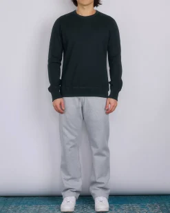 Clearance Reigning Champ Midweight Terry Slim Crewneck Petrol