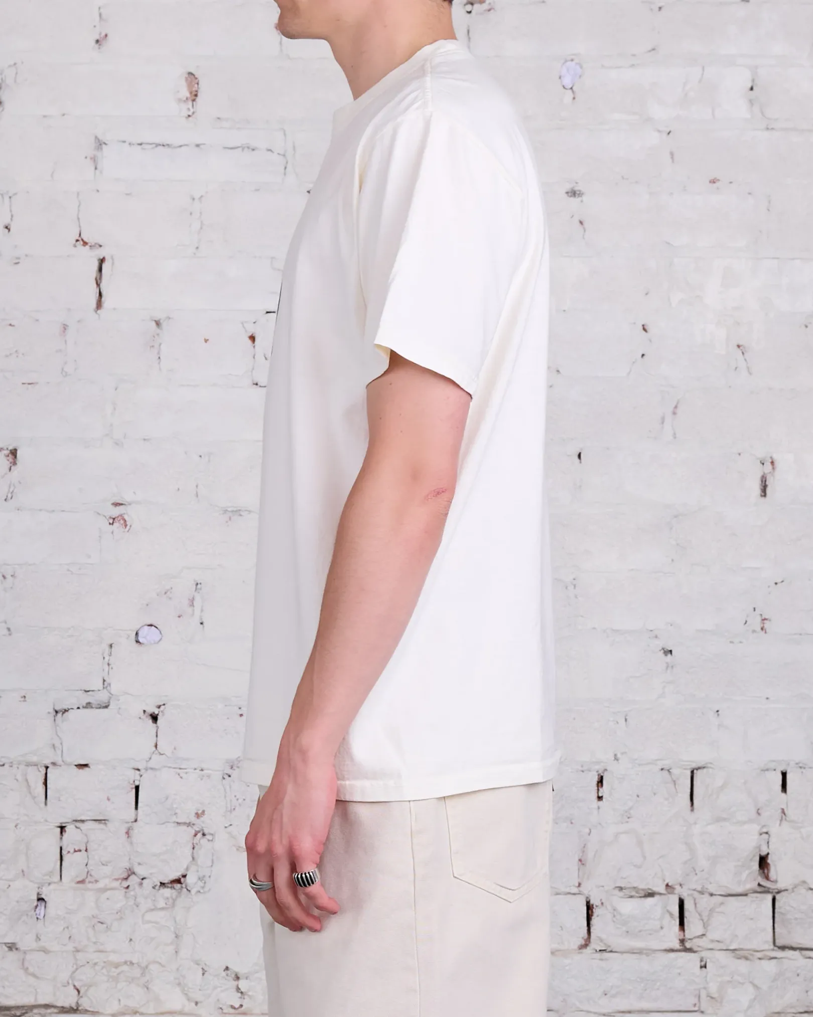 Outlet Stussy Venus Oval Pigment Dyed T-Shirt Natural